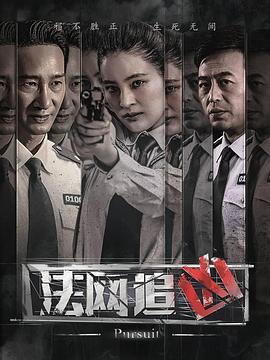 法網(wǎng)追兇第2集