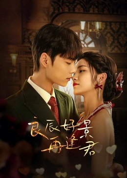 良辰好景再逢君第22集
