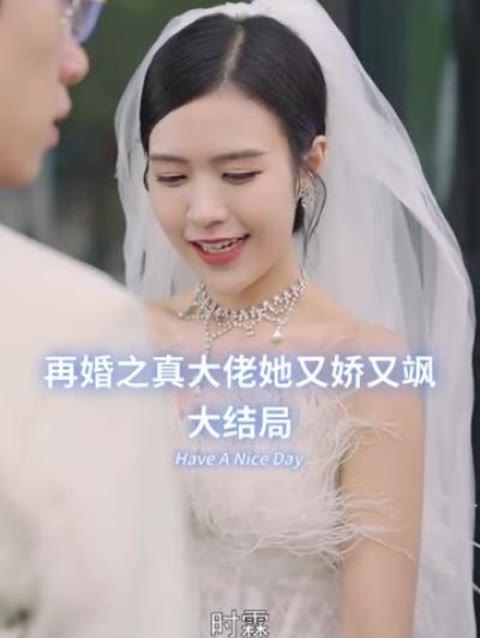再婚之真大佬她又嬌又颯41-60集(大結(jié)局)