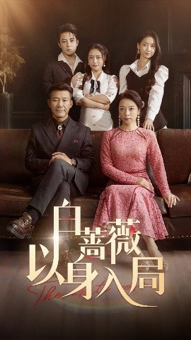 白薔薇以身入局全集完結(jié)(大結(jié)局)