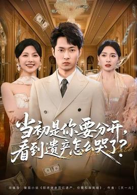 當(dāng)初是你要分開，看到遺產(chǎn)怎么哭了？(全集)