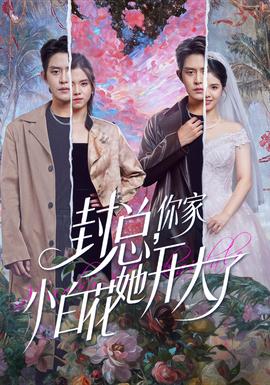 封總，你家小白花她開大了(全集)